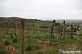 VBS_6873 - Presentazione 5° Rally Il Grappolo Storico 2025